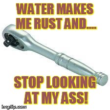WATER MAKES ME RUST AND.... STOP LOOKING AT MY ASS! | image tagged in ratchet | made w/ Imgflip meme maker