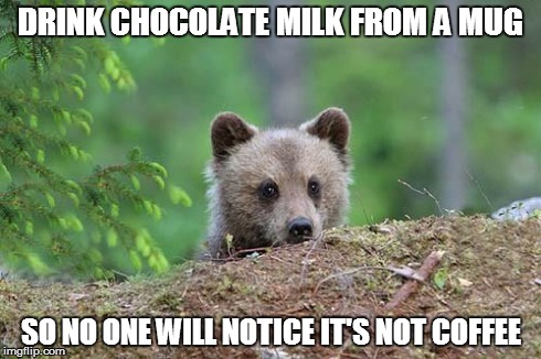 DRINK CHOCOLATE MILK FROM A MUG SO NO ONE WILL NOTICE IT'S NOT COFFEE | image tagged in baby confession bear | made w/ Imgflip meme maker
