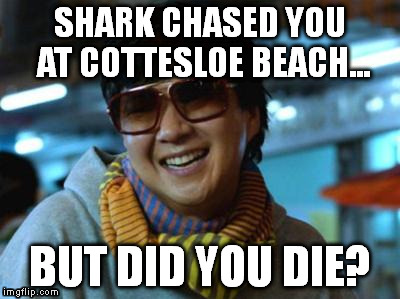 SHARK  CHASE | SHARK CHASED YOU AT COTTESLOE BEACH... BUT DID YOU DIE? | image tagged in shark,australia | made w/ Imgflip meme maker
