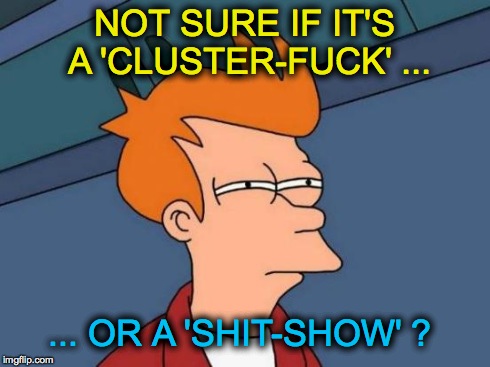 Futurama Fry Meme | NOT SURE IF IT'S A 'CLUSTER-F**K' ... ... OR A 'SHIT-SHOW' ? | image tagged in memes,futurama fry | made w/ Imgflip meme maker