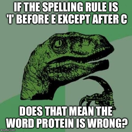 Philosoraptor | IF THE SPELLING RULE IS 'I' BEFORE E EXCEPT AFTER C DOES THAT MEAN THE WORD PROTEIN IS WRONG? | image tagged in memes,philosoraptor | made w/ Imgflip meme maker
