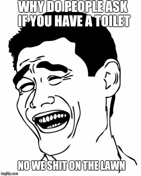 Yao Ming | WHY DO PEOPLE ASK IF YOU HAVE A TOILET  NO WE SHIT ON THE LAWN | image tagged in memes,yao ming | made w/ Imgflip meme maker