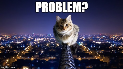 PROBLEM? | image tagged in cats,problem | made w/ Imgflip meme maker