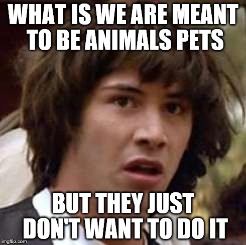 Conspiracy Keanu Meme | WHAT IS WE ARE MEANT TO BE ANIMALS PETS BUT THEY JUST DON'T WANT TO DO IT | image tagged in memes,conspiracy keanu | made w/ Imgflip meme maker