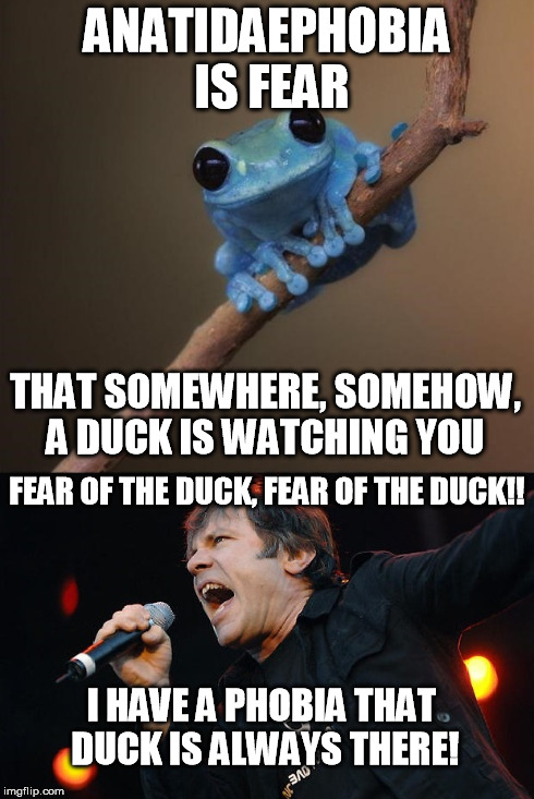 Fear of the duck | ANATIDAEPHOBIA IS FEAR  THAT SOMEWHERE, SOMEHOW, A DUCK IS WATCHING YOU FEAR OF THE DUCK, FEAR OF THE DUCK!! I HAVE A PHOBIA THAT DUCK ISAL | image tagged in small fact frog,iron maiden,funny,duck,fear,meme | made w/ Imgflip meme maker