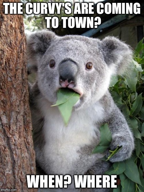 Surprised Koala | THE CURVY'S ARE
COMING TO TOWN? WHEN? WHERE | image tagged in memes,surprised koala | made w/ Imgflip meme maker