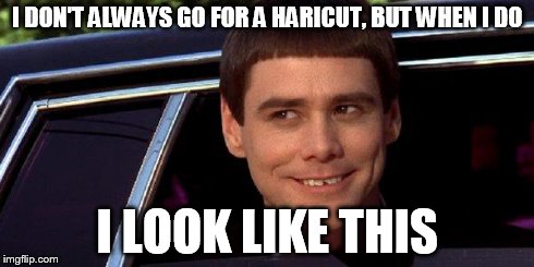 dumb and dumber | I DON'T ALWAYS GO FOR A HARICUT, BUT WHEN I DO I LOOK LIKE THIS | image tagged in dumb and dumber | made w/ Imgflip meme maker