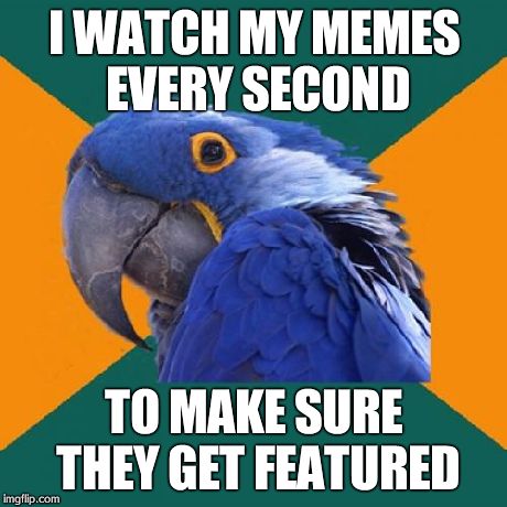 Paranoid Parrot Meme | I WATCH MY MEMES EVERY SECOND TO MAKE SURE THEY GET FEATURED | image tagged in memes,paranoid parrot | made w/ Imgflip meme maker