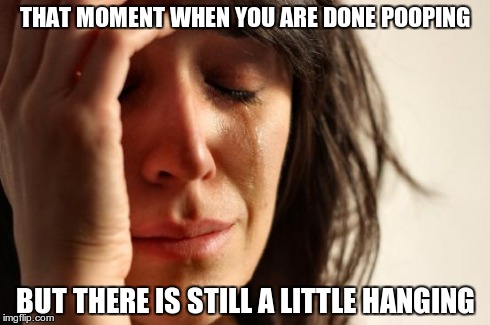First World Problems | THAT MOMENT WHEN YOU ARE DONE POOPING BUT THERE IS STILL A LITTLE HANGING | image tagged in memes,first world problems | made w/ Imgflip meme maker
