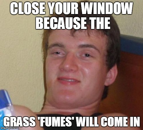 10 Guy Meme | CLOSE YOUR WINDOW BECAUSE THE GRASS 'FUMES' WILL COME IN | image tagged in memes,10 guy,AdviceAnimals | made w/ Imgflip meme maker