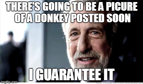 I Guarantee It | THERE'S GOING TO BE A PICURE OF A DONKEY POSTED SOON I GUARANTEE IT | image tagged in memes,i guarantee it | made w/ Imgflip meme maker