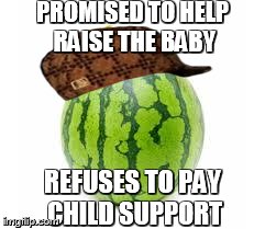 PROMISED TO HELP RAISE THE BABY REFUSES TO PAY CHILD SUPPORT | image tagged in scumelon,scumbag | made w/ Imgflip meme maker