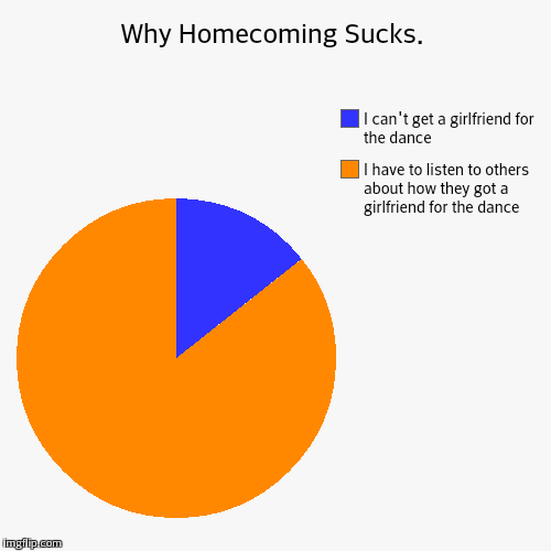 Homecoming is bleh  | Why Homecoming Sucks. | I have to listen to others about how they got a girlfriend for the dance , I can't get a girlfriend for the dance | image tagged in funny,pie charts | made w/ Imgflip chart maker