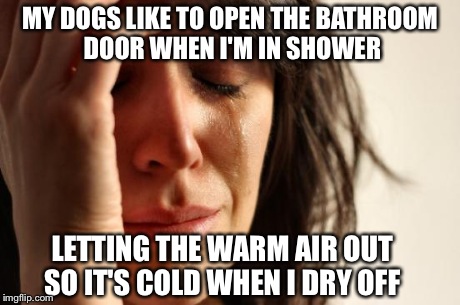 First World Problems | MY DOGS LIKE TO OPEN THE BATHROOM DOOR WHEN I'M IN SHOWER LETTING THE WARM AIR OUT SO IT'S COLD WHEN I DRY OFF | image tagged in memes,first world problems | made w/ Imgflip meme maker