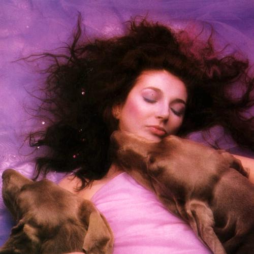 Kate Bush Hounds of Love Blank Meme Template