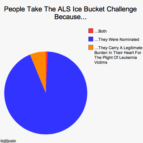ALS Ice Bucket Challenge Pie Chart | image tagged in funny,pie charts | made w/ Imgflip chart maker