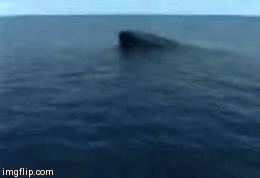 Submarine | image tagged in gifs | made w/ Imgflip video-to-gif maker
