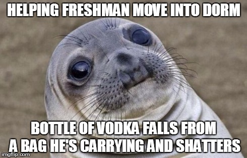 Awkward Moment Sealion Meme | HELPING FRESHMAN MOVE INTO DORM BOTTLE OF VODKA FALLS FROM A BAG HE'S CARRYING AND SHATTERS | image tagged in memes,awkward moment sealion,AdviceAnimals | made w/ Imgflip meme maker