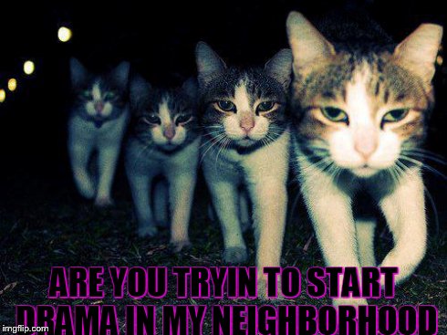 Wrong Neighboorhood Cats | ARE YOU TRYIN TO START DRAMA IN MY NEIGHBORHOOD | image tagged in memes,wrong neighboorhood cats | made w/ Imgflip meme maker