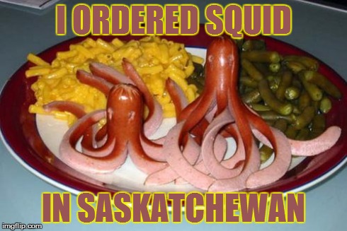 Saskatchewan Seafood | I ORDERED SQUID IN SASKATCHEWAN | image tagged in saskatchewan seafood,squid,octopus,regina | made w/ Imgflip meme maker