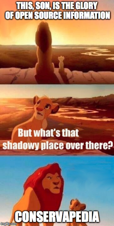 Simba Shadowy Place | THIS, SON, IS THE GLORY OF OPEN SOURCE INFORMATION CONSERVAPEDIA | image tagged in memes,simba shadowy place | made w/ Imgflip meme maker