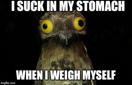 Weird Stuff I Do Potoo | I SUCK IN MY STOMACH WHEN I WEIGH MYSELF | image tagged in memes,weird stuff i do potoo,AdviceAnimals | made w/ Imgflip meme maker