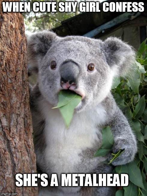 Surprised Koala | WHEN CUTE SHY GIRL CONFESS SHE'S A METALHEAD | image tagged in memes,surprised koala | made w/ Imgflip meme maker