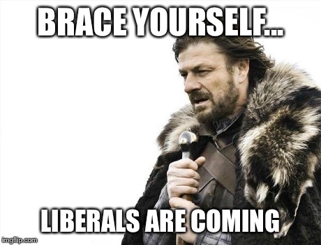 Brace Yourselves X is Coming | BRACE YOURSELF... LIBERALS ARE COMING | image tagged in memes,brace yourselves x is coming | made w/ Imgflip meme maker