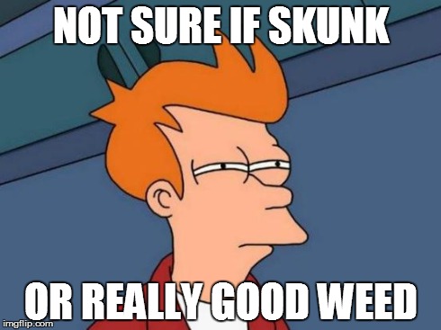 Futurama Fry | NOT SURE IF SKUNK OR REALLY GOOD WEED | image tagged in memes,futurama fry,funny | made w/ Imgflip meme maker
