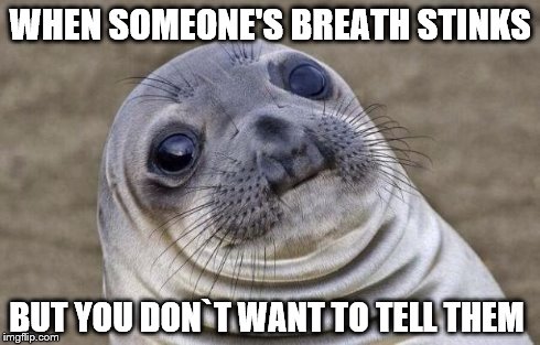 Awkward Moment Sealion | WHEN SOMEONE'S BREATH STINKS BUT YOU DON`T WANT TO TELL THEM | image tagged in memes,awkward moment sealion | made w/ Imgflip meme maker