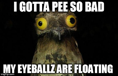 Weird Stuff I Do Potoo Meme | I GOTTA PEE SO BAD MY EYEBALLZ ARE FLOATING | image tagged in memes,weird stuff i do potoo | made w/ Imgflip meme maker