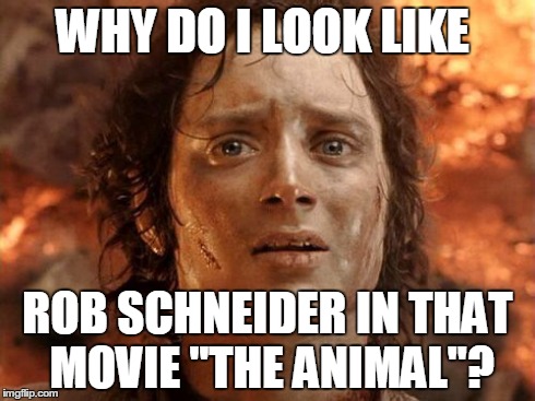 It's Finally Over | WHY DO I LOOK LIKE  ROB SCHNEIDER IN THAT MOVIE "THE ANIMAL"? | image tagged in memes,its finally over | made w/ Imgflip meme maker