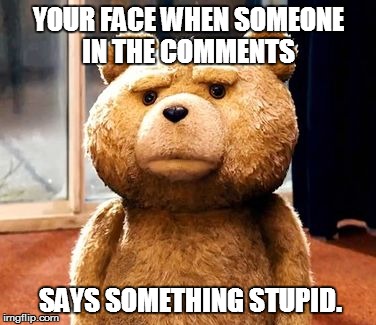 TED Meme | YOUR FACE WHEN SOMEONE IN THE COMMENTS   SAYS SOMETHING STUPID. | image tagged in memes,ted | made w/ Imgflip meme maker