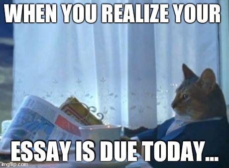 This is me | WHEN YOU REALIZE YOUR  ESSAY IS DUE TODAY... | image tagged in memes,funny | made w/ Imgflip meme maker