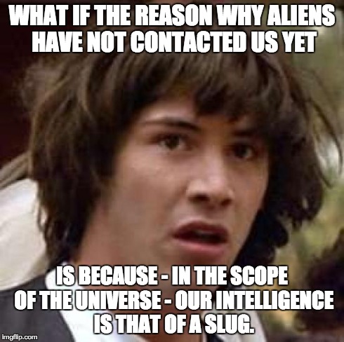Conspiracy Keanu | WHAT IF THE REASON WHY ALIENS HAVE NOT CONTACTED US YET IS BECAUSE - IN THE SCOPE OF THE UNIVERSE - OUR INTELLIGENCE IS THAT OF A SLUG. | image tagged in memes,conspiracy keanu,slug,aliens,intelligence | made w/ Imgflip meme maker