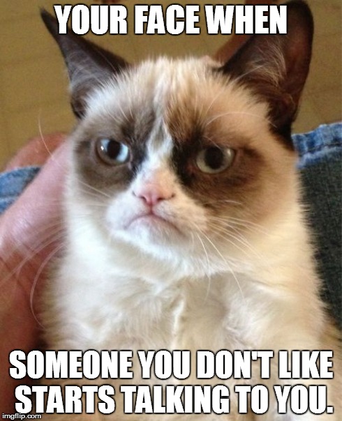 Grumpy Cat Meme | YOUR FACE WHEN SOMEONE YOU DON'T LIKE STARTS TALKING TO YOU. | image tagged in memes,grumpy cat | made w/ Imgflip meme maker