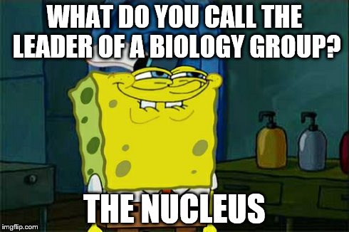 Don't You Squidward Meme | WHAT DO YOU CALL THE LEADER OF A BIOLOGY GROUP? THE NUCLEUS | image tagged in memes,dont you squidward | made w/ Imgflip meme maker