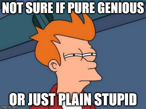 Hint: It can be only one. | NOT SURE IF PURE GENIOUS OR JUST PLAIN STUPID | image tagged in memes,futurama fry,funny | made w/ Imgflip meme maker