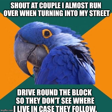 Paranoid Parrot | SHOUT AT COUPLE I ALMOST RUN OVER WHEN TURNING INTO MY STREET DRIVE ROUND THE BLOCK SO THEY DON'T SEE WHERE I LIVE IN CASE THEY FOLLOW. | image tagged in memes,paranoid parrot | made w/ Imgflip meme maker