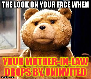 TED Meme | THE LOOK ON YOUR FACE WHEN YOUR MOTHER-IN-LAW DROPS BY, UNINVITED | image tagged in memes,ted | made w/ Imgflip meme maker