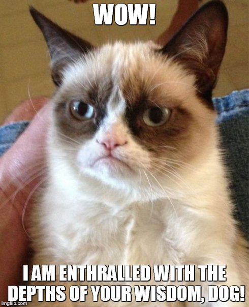 Grumpy Cat Meme | WOW! I AM ENTHRALLED WITH THE DEPTHS OF YOUR WISDOM, DOG! | image tagged in memes,grumpy cat | made w/ Imgflip meme maker