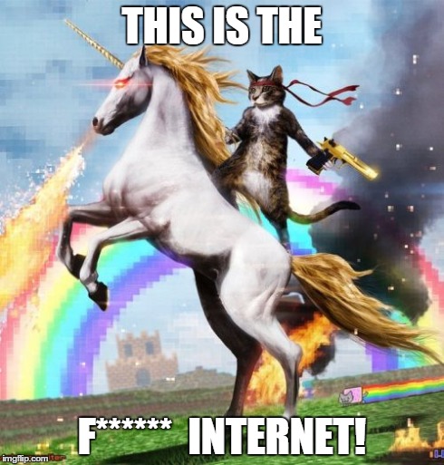 Welcome To The Internets | THIS IS THE F******  INTERNET! | image tagged in memes,welcome to the internets | made w/ Imgflip meme maker