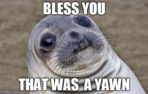 Awkward Moment Sealion | BLESS YOU THAT WAS  A YAWN | image tagged in memes,awkward moment sealion | made w/ Imgflip meme maker