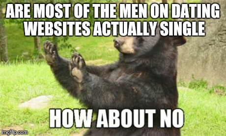 How About No Bear | ARE MOST OF THE MEN ON DATING WEBSITES ACTUALLY SINGLE | image tagged in memes,how about no bear | made w/ Imgflip meme maker
