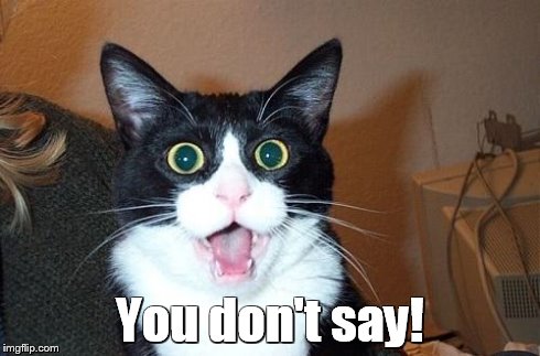 You don't say! | image tagged in cat shocked face | made w/ Imgflip meme maker