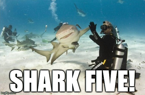 SHARK FIVE! | made w/ Imgflip meme maker