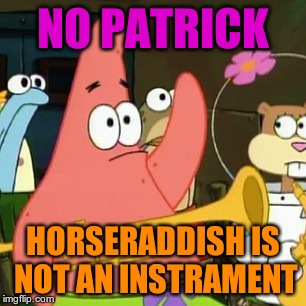No Patrick | NO PATRICK HORSERADDISH IS NOT AN INSTRAMENT | image tagged in memes,no patrick | made w/ Imgflip meme maker