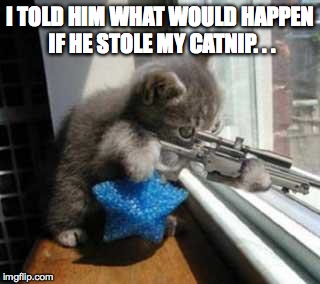 CatSniper | I TOLD HIM WHAT WOULD HAPPEN IF HE STOLE MY CATNIP. . . | image tagged in catsniper | made w/ Imgflip meme maker