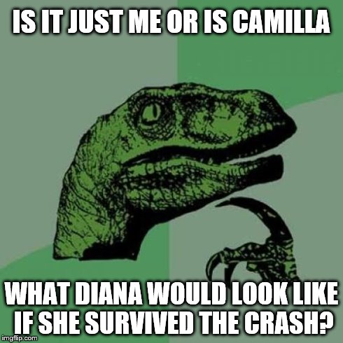 Thoughts on the Anniversary ... | IS IT JUST ME OR IS CAMILLA WHAT DIANA WOULD LOOK LIKE IF SHE SURVIVED THE CRASH? | image tagged in memes,philosoraptor | made w/ Imgflip meme maker