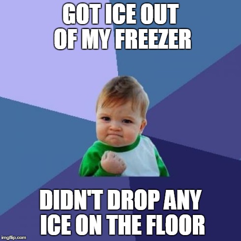 Success Kid Meme | GOT ICE OUT OF MY FREEZER DIDN'T DROP ANY ICE ON THE FLOOR | image tagged in memes,success kid | made w/ Imgflip meme maker